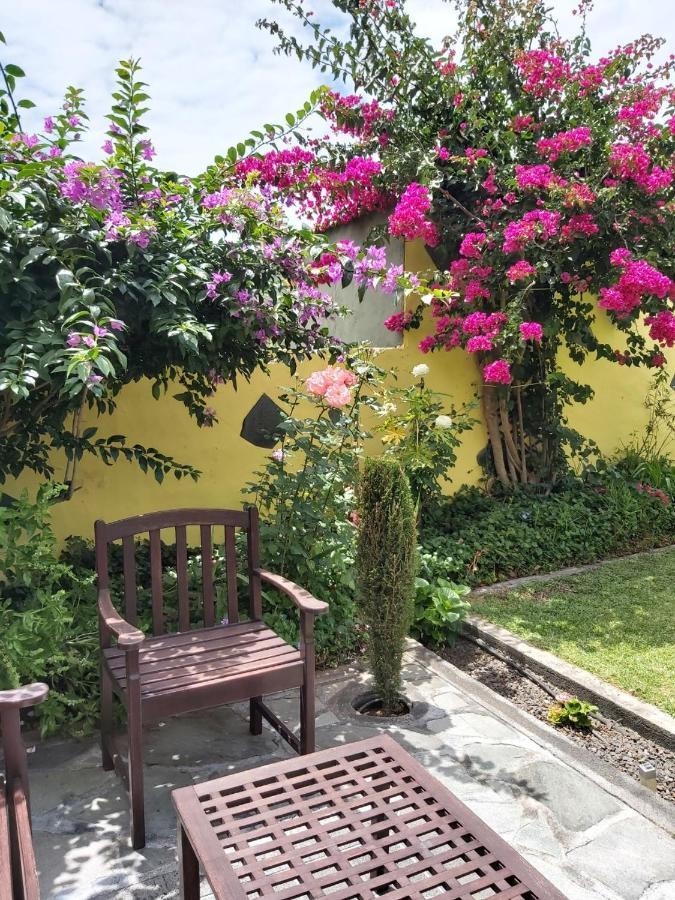 フロンテーラ Mi Jardinヴィラ エクステリア 写真