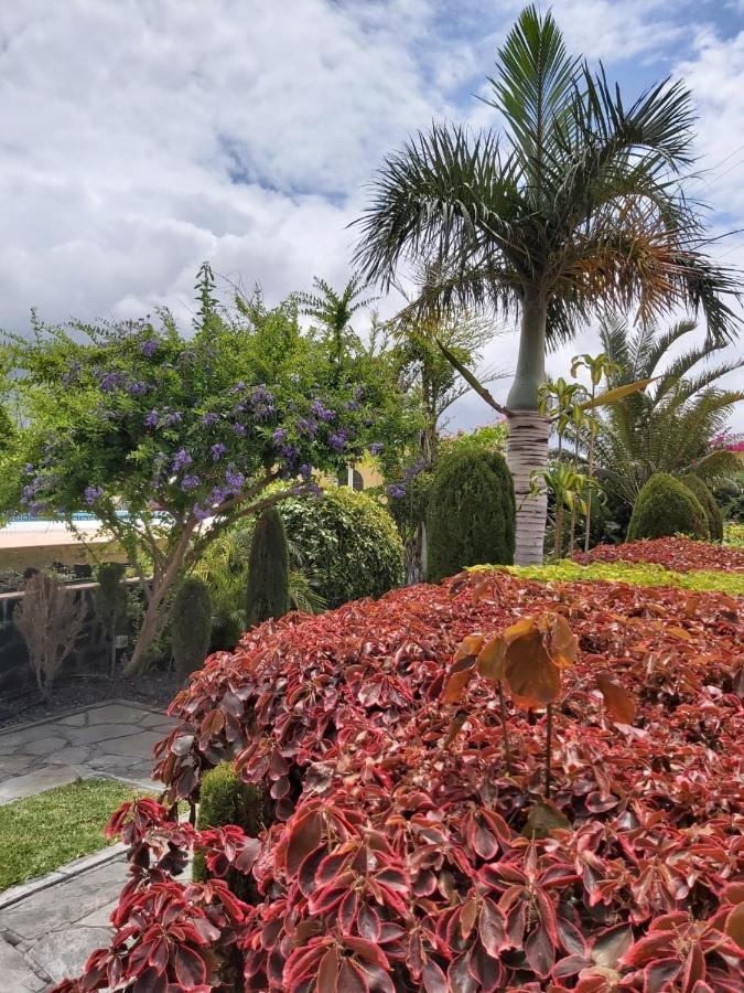 フロンテーラ Mi Jardinヴィラ エクステリア 写真