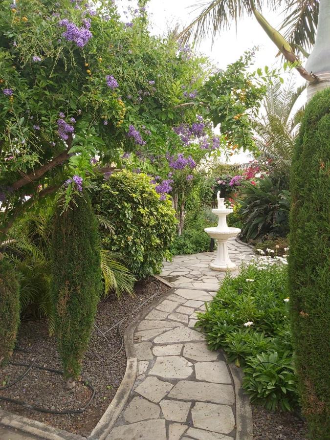 フロンテーラ Mi Jardinヴィラ エクステリア 写真