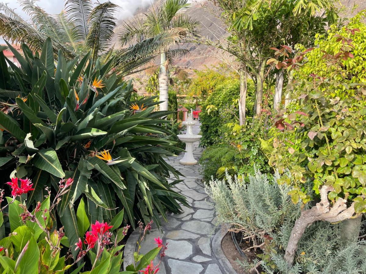 フロンテーラ Mi Jardinヴィラ エクステリア 写真