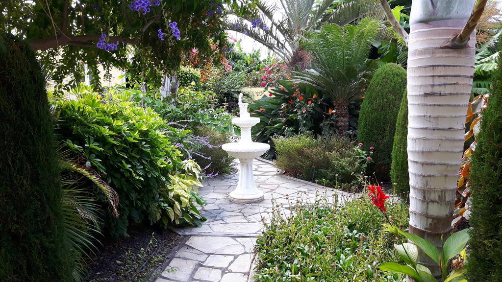フロンテーラ Mi Jardinヴィラ エクステリア 写真