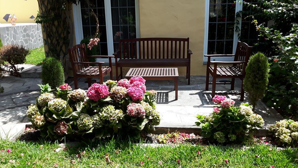 フロンテーラ Mi Jardinヴィラ エクステリア 写真