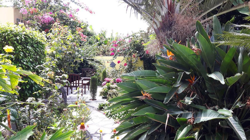 フロンテーラ Mi Jardinヴィラ エクステリア 写真