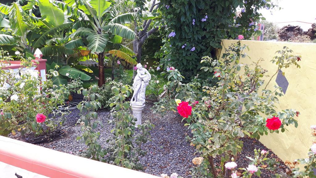 フロンテーラ Mi Jardinヴィラ エクステリア 写真
