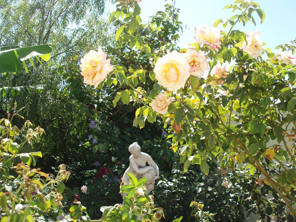 フロンテーラ Mi Jardinヴィラ エクステリア 写真
